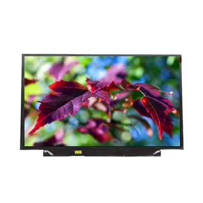 LT133EE10300 LCD-skärmmodul 13,3 tum 1366*768 LCD-skärm för bärbar dator